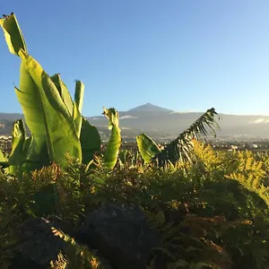 La Plantacion _agroturismo La Orotava